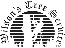 Wilson's Tree Service LLC Logo